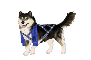 ADOPT-BH-290: Winchester