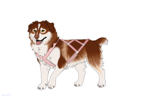 Thumbnail for ADOPT-BH-568
