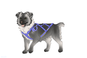 Thumbnail for ADOPT-BH-393