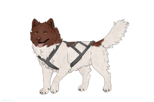 Thumbnail for ADOPT-BH-391