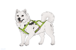 Thumbnail for ADOPT-BH-385