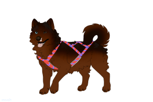 Thumbnail for ADOPT-BH-476