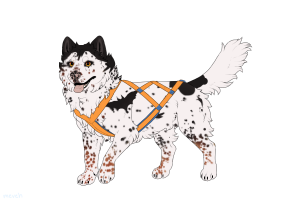 Thumbnail for ADOPT-BH-495
