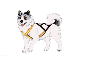 Thumbnail for ADOPT-BH-545