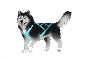 Thumbnail for ADOPT-BH-564