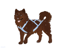 Thumbnail for ADOPT-BH-507: BHR Chewie