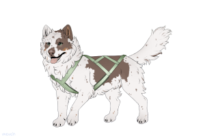 Thumbnail for ADOPT-BH-459: BHR Oak
