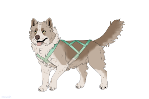 Thumbnail for ADOPT-BH-540: BHR Aster