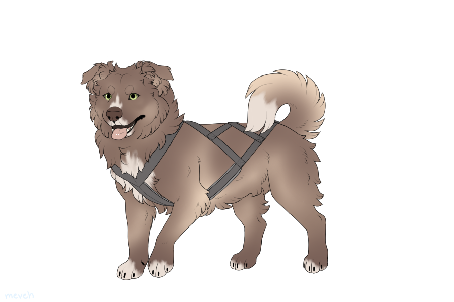 Thumbnail for ADOPT-BH-512