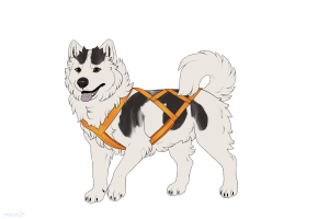 Thumbnail for ADOPT-BH-415