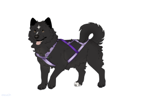 Thumbnail for ADOPT-BH-418