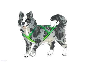 Thumbnail for ADOPT-BH-446