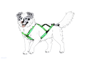 Thumbnail for ADOPT-BH-466