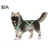 ADOPT-BH-293