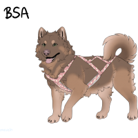 Thumbnail for ADOPT-BH-365