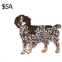 Thumbnail for ADOPT-BH-458