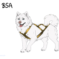 ADOPT-BH-049: Benedick