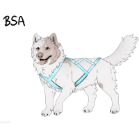 ADOPT-BH-033: Snow