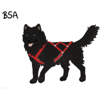 ADOPT-BH-117: Highwayman