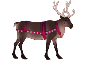 ADOPT-BR-013