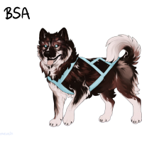 ADOPT-BH-375