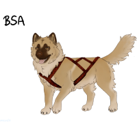 Thumbnail for ADOPT-BH-376