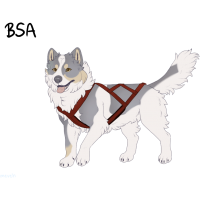ADOPT-BH-299