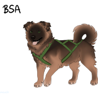 Thumbnail for ADOPT-BH-380: BHR Cocoa