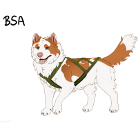 Thumbnail for ADOPT-BH-381: BHR Ginger