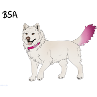 ADOPT-BH-388