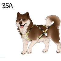 Thumbnail for ADOPT-BH-389