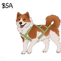 ADOPT-BH-310