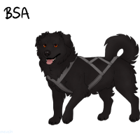 ADOPT-BH-311