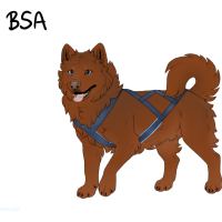 Thumbnail for ADOPT-BH-323