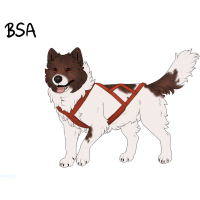 ADOPT-BH-328