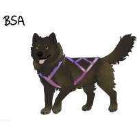 Thumbnail for ADOPT-BH-338