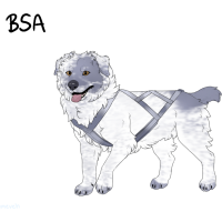 Thumbnail for ADOPT-BH-341
