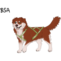 Thumbnail for ADOPT-BH-348