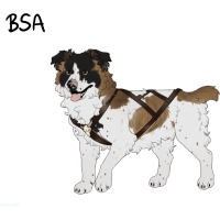 Thumbnail for ADOPT-BH-349