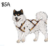 Thumbnail for ADOPT-BH-353