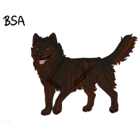 Thumbnail for ADOPT-BH-359